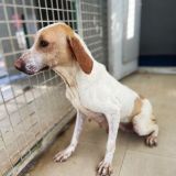 https://www.respektiere.com/cms/images/stories/Futternapf/Futternapf_Hunde/A_2026/ullala.jpg
