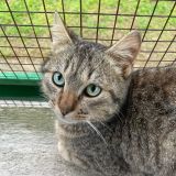 https://www.respektiere.com/cms/images/stories/Futternapf/Futternapf_Katzen/A_2026/uto.jpg