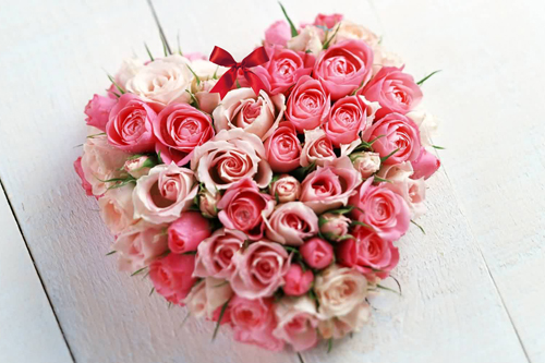Image Image