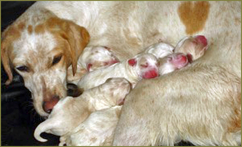Image Image