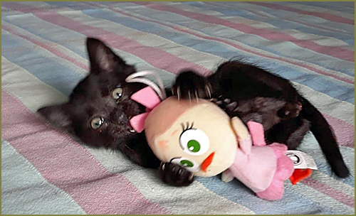 Image Image