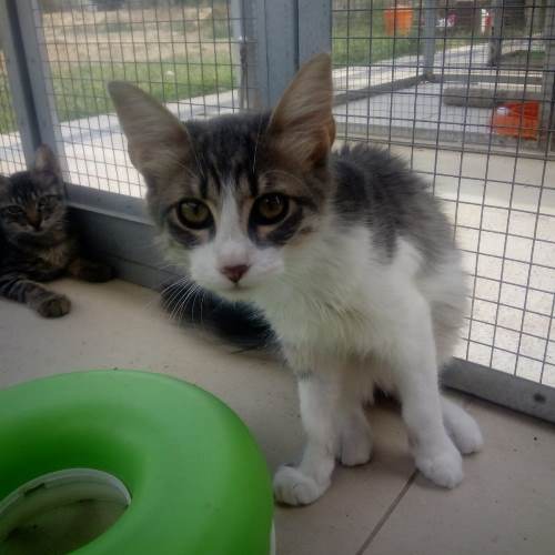 Respektierecom Bekommen Wir Eine Chance